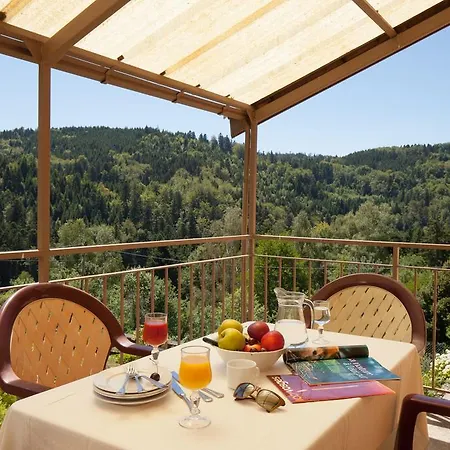 Apartment De La Cascade Le Tholy